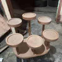 استند کاکتوس