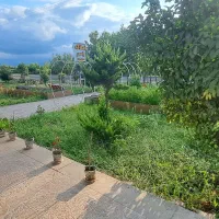 اجاره یک باب مغازه ۸۰متری|اجارهٔ مغازه و غرفه|چاف و چمخاله, |دیوار