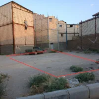 زمین سند تک برگ پروانه