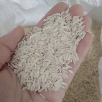 برنج هاشمی اعلا سرالک امساله ۱۴۰۵ محصول خود کشاورز