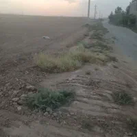 زمین-کشاورزی
