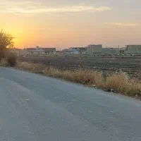 زمین کشاورزی آخر خ مقداد