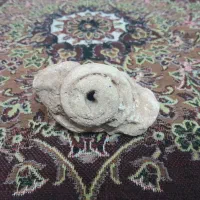 فسیل حلزون