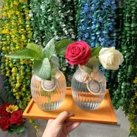 انواع ظروف آشپز خانه|ظروف سرو و پذیرایی|الیگودرز, |دیوار