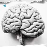 آموزش شطرنج((تقویت هوش و تمرکز))