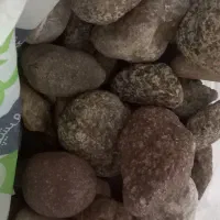 سنگ اکواریوم