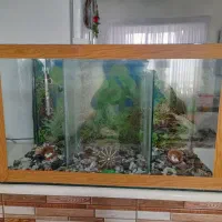 سلام آکواریوم بزرگ دوقلو سالم|ماهی|تربت جام, باغ سنگان سفلی|دیوار