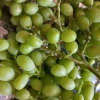 غوره