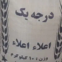 برنج نقد و اقساط