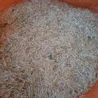 کاه گندم ریز دیمی|لوازم جانبی حیوانات|ضیاء آباد, |دیوار