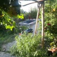 معاوضه باغچه ۴۰۰متری چسب محل