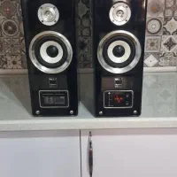 اسپیکر ایستاده ۲تیکه NEC