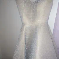 لباس مجلسی پرنسسی شاینی