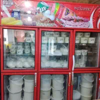یخچال فروشگاهی ۶ درب