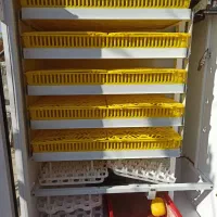 دستگاه جوجه کشی 420عددی|لوازم جانبی حیوانات|سنندج, |دیوار