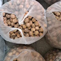 گردو|خوردنی و آشامیدنی|تهران, آهنگ|دیوار