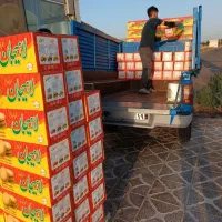 نیسان بار/باربری/انواع بار/مبلمان و اثاثیه منزل|خدمات حمل و نقل|کرمانشاه, |دیوار