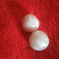 مهره سلیمانی اصل