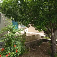 اجاره-باغچه-ویلایی-ساعتی-روزانه-و-هفتگی