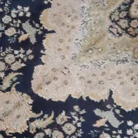 فرش ۶متری|فرش|رشت, پیرکلاچای|دیوار