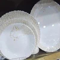 آرکوپال 25پارچه مقصود