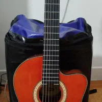 گیتار پیکاپدار واشبرن