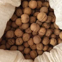 گردو|خوردنی و آشامیدنی|شیراز, ریشمک|دیوار