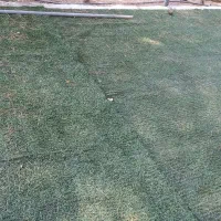 چمن مصنوعی|مصالح و تجهیزات ساختمان|اصفهان, راه آهن|دیوار