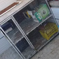 قفس کبوتر