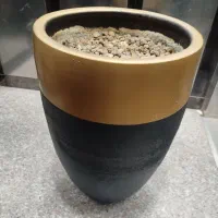 کمد|جاکفشی، کمد، دراور|بندرعباس, |دیوار