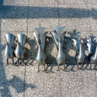 حیوان علامت