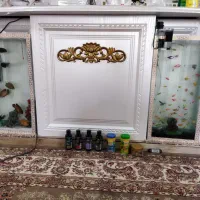 فروش اکواریوم