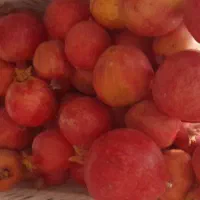 انار انباری درجه یک دان سیاه موجود است|عمده‌فروشی|کوهنانی, |دیوار