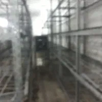۱۰۰ متر سالن بهداشتی مهرشهر|فروش دفتر صنعتی، کشاورزی، تجاری|کرج, آق تپه|دیوار