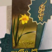 گم شده جاکارتی وکارتهای شناسایی امین راستخانه