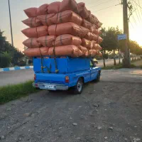 کاه عدس نرم درجه یک