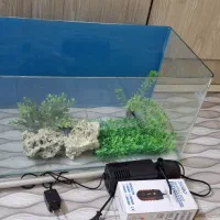 اکواریوم شیشه خم با لوازم