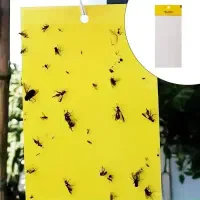 چسب حشره (کارت زرد)
