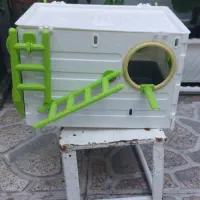 لانه عروس هلندی مدل جاوا