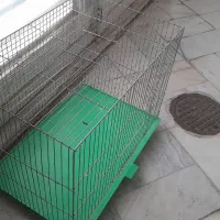 قفس|لوازم جانبی حیوانات|قم, حاج خلیل|دیوار