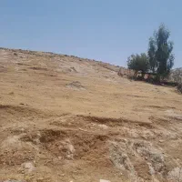 زمین شیروان