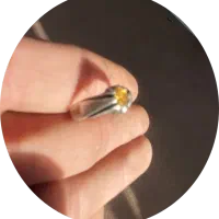 انگشنر یاقوت زرد رکاب نقره دست|جواهرات|قدس, شهر‌قدس|دیوار