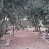 ویلا باغ تازه بازسازی شده لوشان ورودی استان گیلان|فروش خانه و ویلا|لوشان, |دیوار