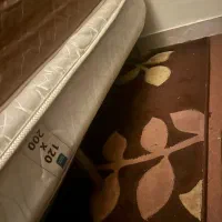 تشک ۱۲۰