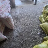 فروش کود تریپل و سفید|خدمات باغبانی و درختکاری|دینور, |دیوار