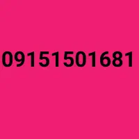 09151501681