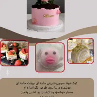 سفارش کیکو شیرینی میپزیرم خانگی