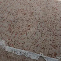 قالی 12 متری