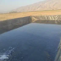 باغ پسته و زمین زراعی|فروش دفتر صنعتی، کشاورزی، تجاری|رونیز, |دیوار