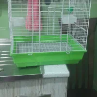 قفس عروس هلندی